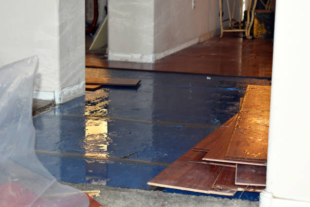 Professional Burst Pipe Cleanup technician working in Antioch, IL